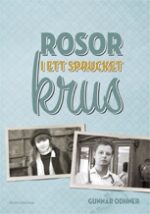 Rosor i ett sprucket krus-0