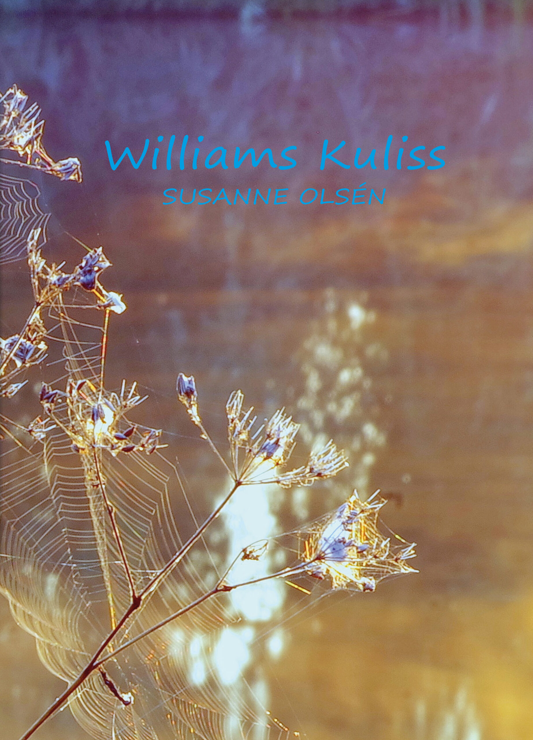 Williamskuliss_omslag